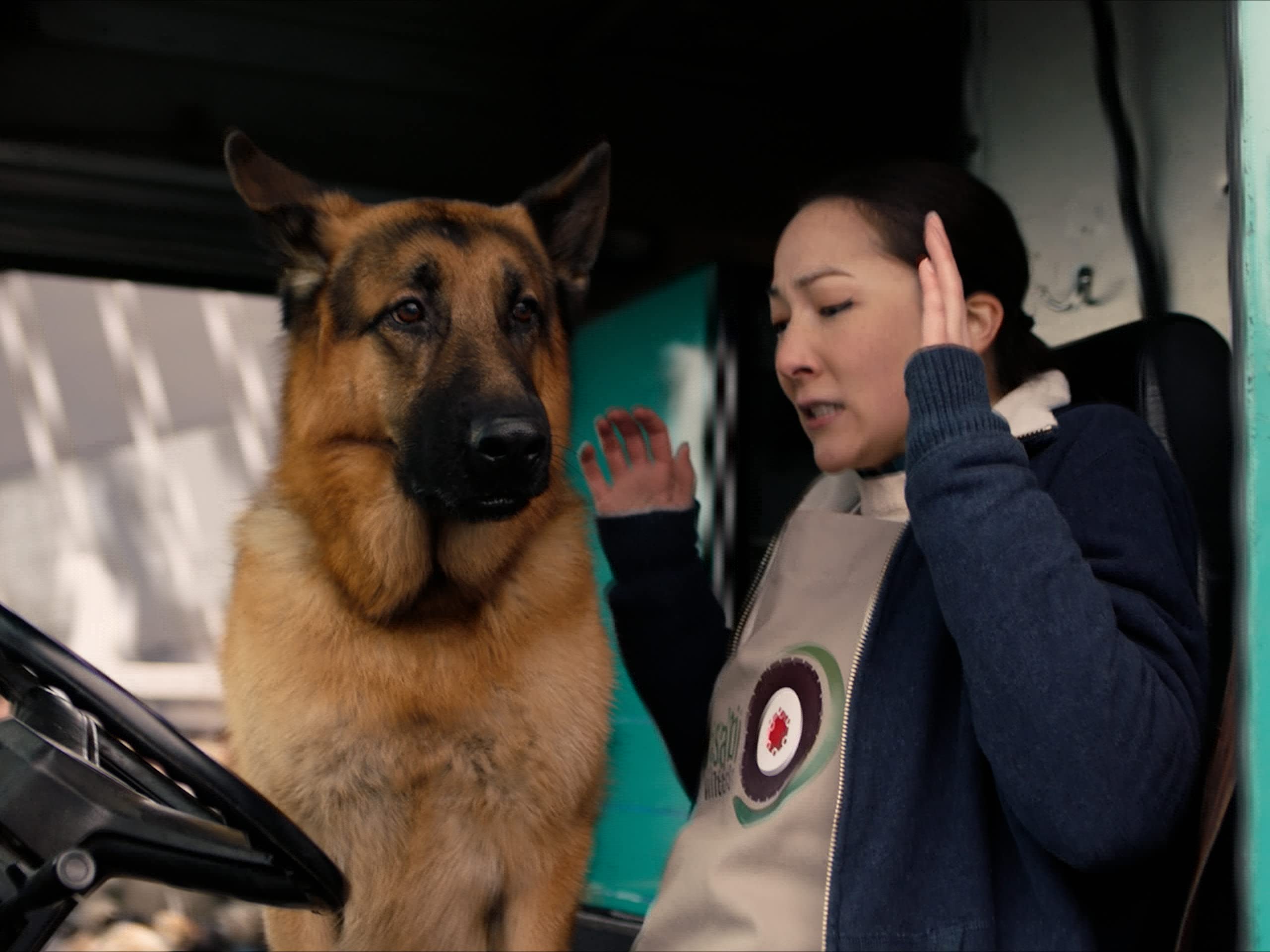 Hudson Et Rex Streaming Watch Hudson & Rex Season 1 | Prime Video