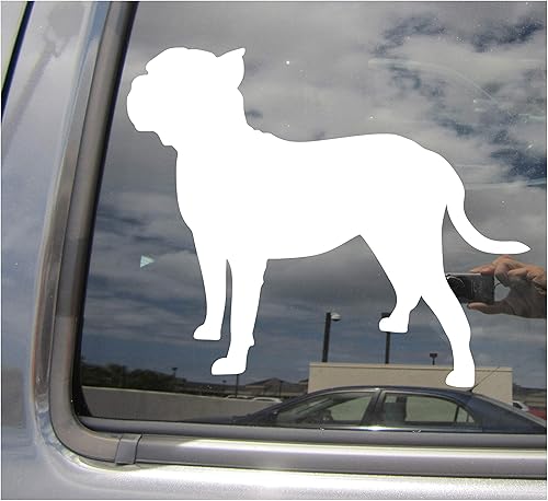 - Perro de Presa Canario Perro - Mastín canario canario Molosser Dogo raza pura pura - Carros Camiones Ciclomotor Casco Duro Automotriz Artesanía