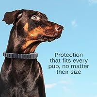 Vista 4 de ADAMS Flea & Tick Collar for Dogs & Puppies, Flea Collar for 12 Month Prevention, Kills Fleas, Ticks & Repels Mosquitoes, Excluding California, One