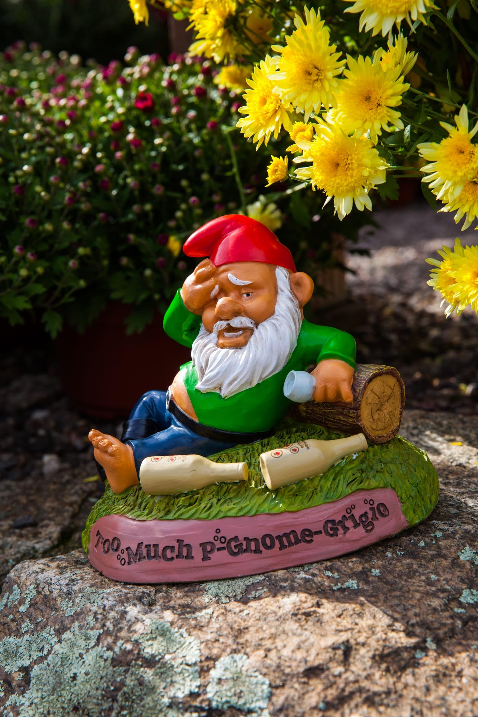 BigMouth INC Le GNOME du Jardin de Hungover