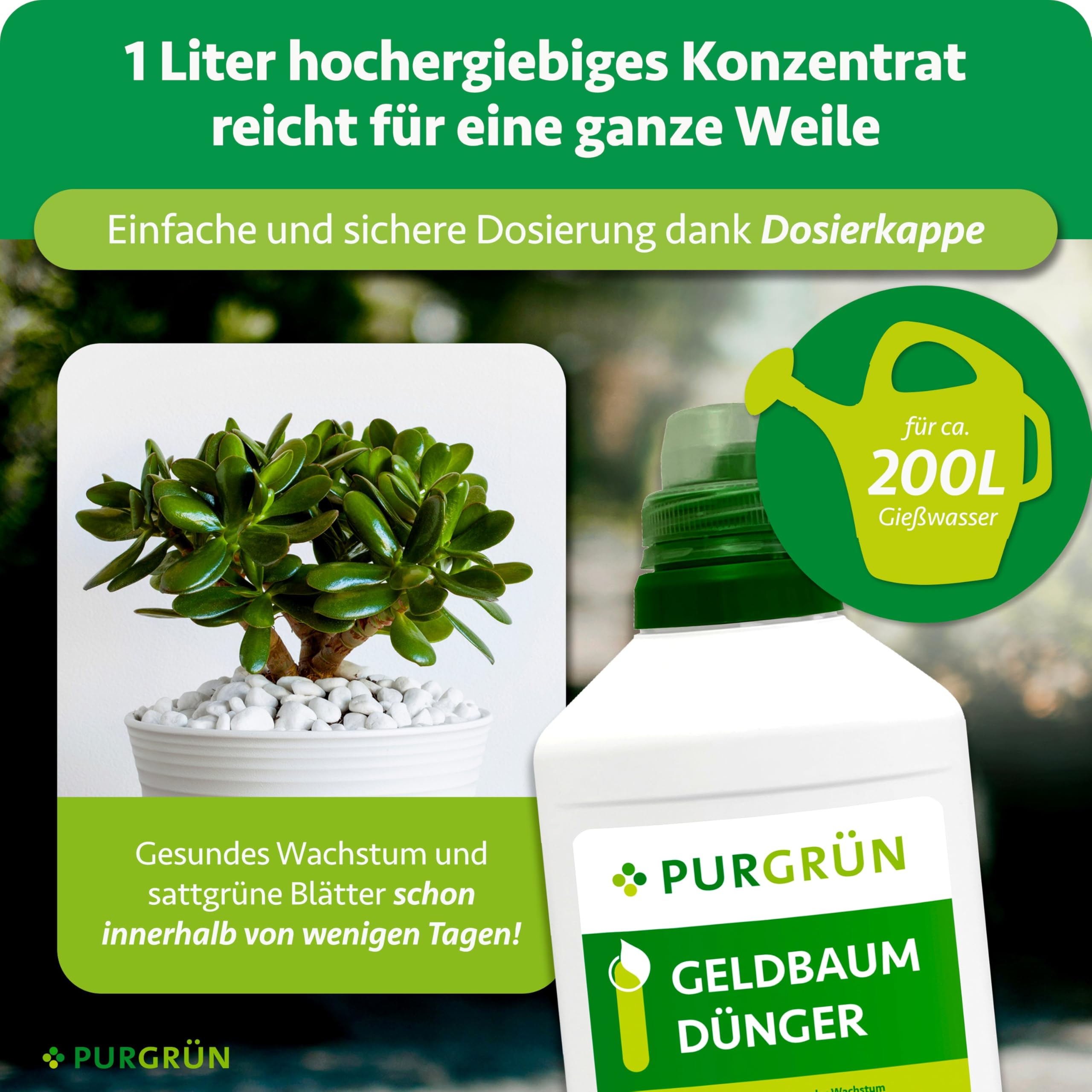Geldbaum-Dünger 1 Liter – Spurennährstoffe für gesundes Wachstum – Extra Kalium fördert die Widerstandskraft – Ergiebiges Konzentrat für 400 Liter Gießwasser – Premium-Flüssigdünger