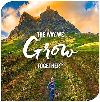 Nature's Way Sambucus Black Elderberry Gummies with Vitamin C and Zinc, 60 Gummies