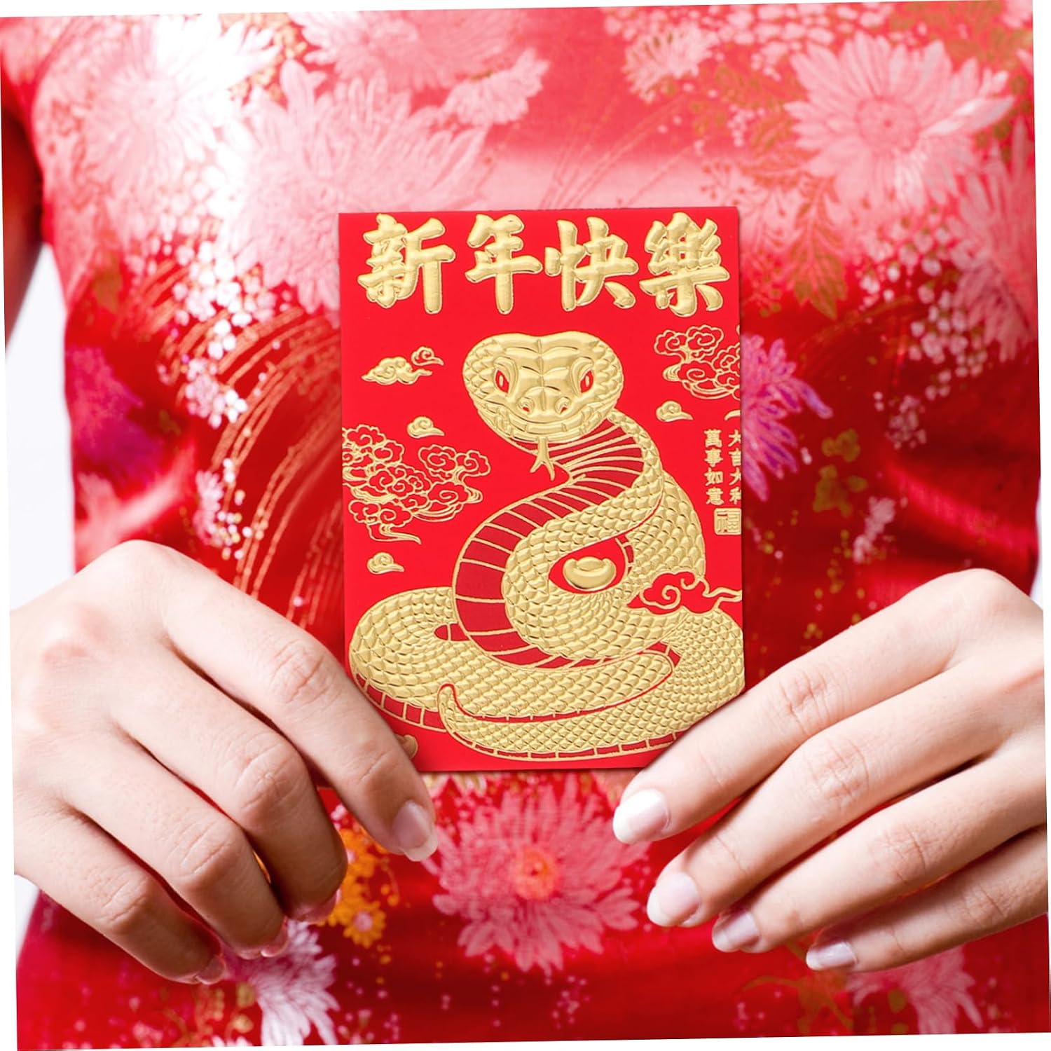 OHPHCALL Unique Snake Year Chinese New Year Charms Tassel Envelopes Red Packet Money Pouches for Spring Festival Dec