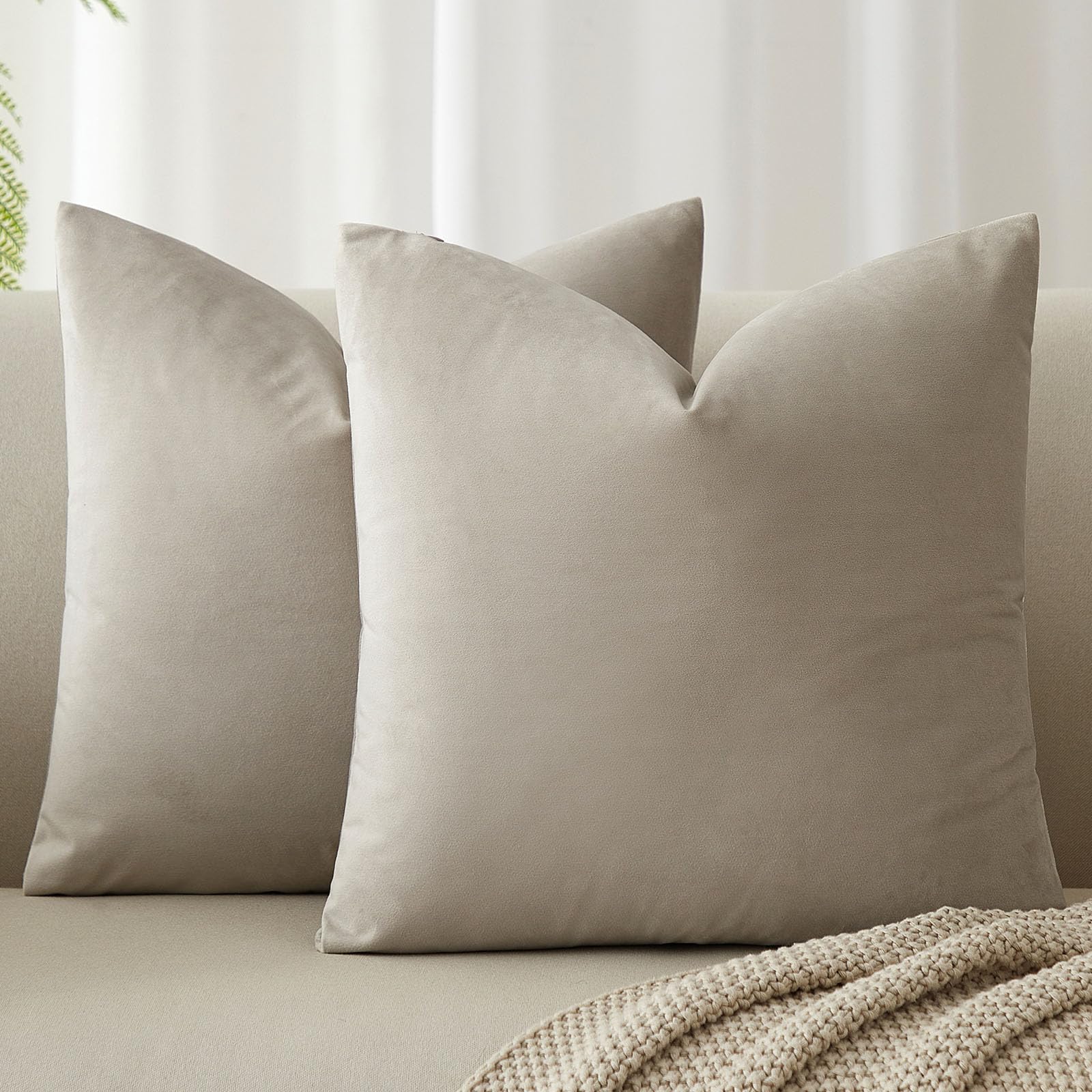 JUSPURBET Cloud Velvet Throw Pillow Covers 26X26 inch Set of 2 for Living Room Couch Sofa Bedroom Decorative Square Solid Soft Cushion Cases with Invisible Zipper, HF100021-Double65X65-Cloud โ image 1