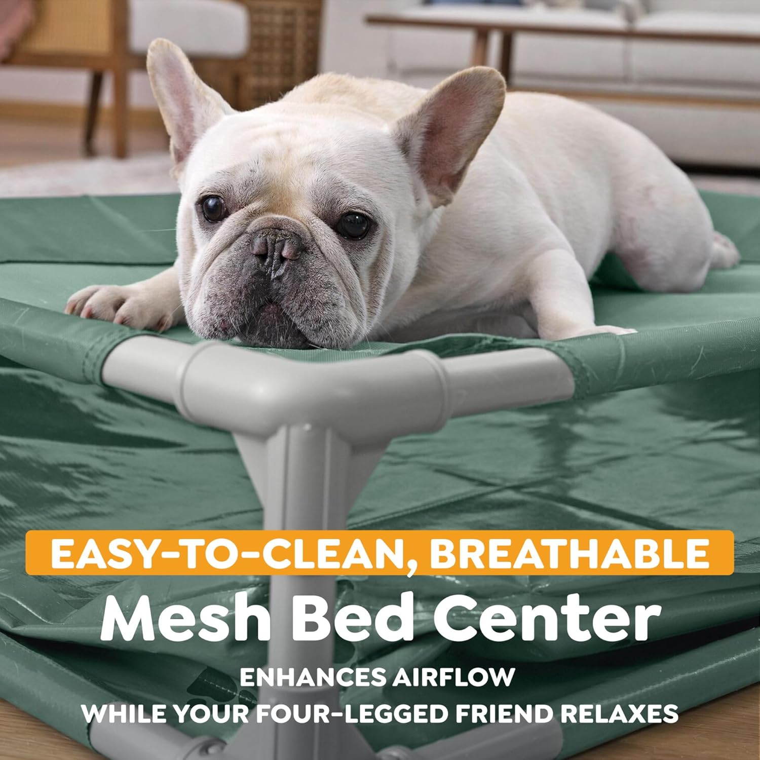 H2OGO! Pet Play Pool & Elevated Bed, Fetchin' Fun 2-in-1 Metal Frame Pool and Raised Mesh Bed for Small, Medium, and Large Dogs up to 99 lbs