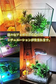 Amazon.co.jp: 浄化用 さざれ石 天然水晶 癒しのクリスタル 高グレード