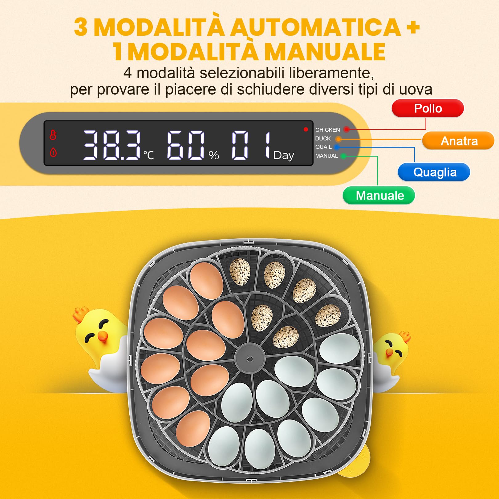 Sailnovo Incubatrice Per 24 Uova Automatica, Incubatrice Uova Gallina, 4 Modalità Incubatrice Con Rotazione Automatica Delle Uova e Controllo Della Temperatura ℉ Per Pollo e Quaglia (Grigio)