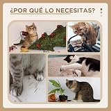 Ver la foto 5