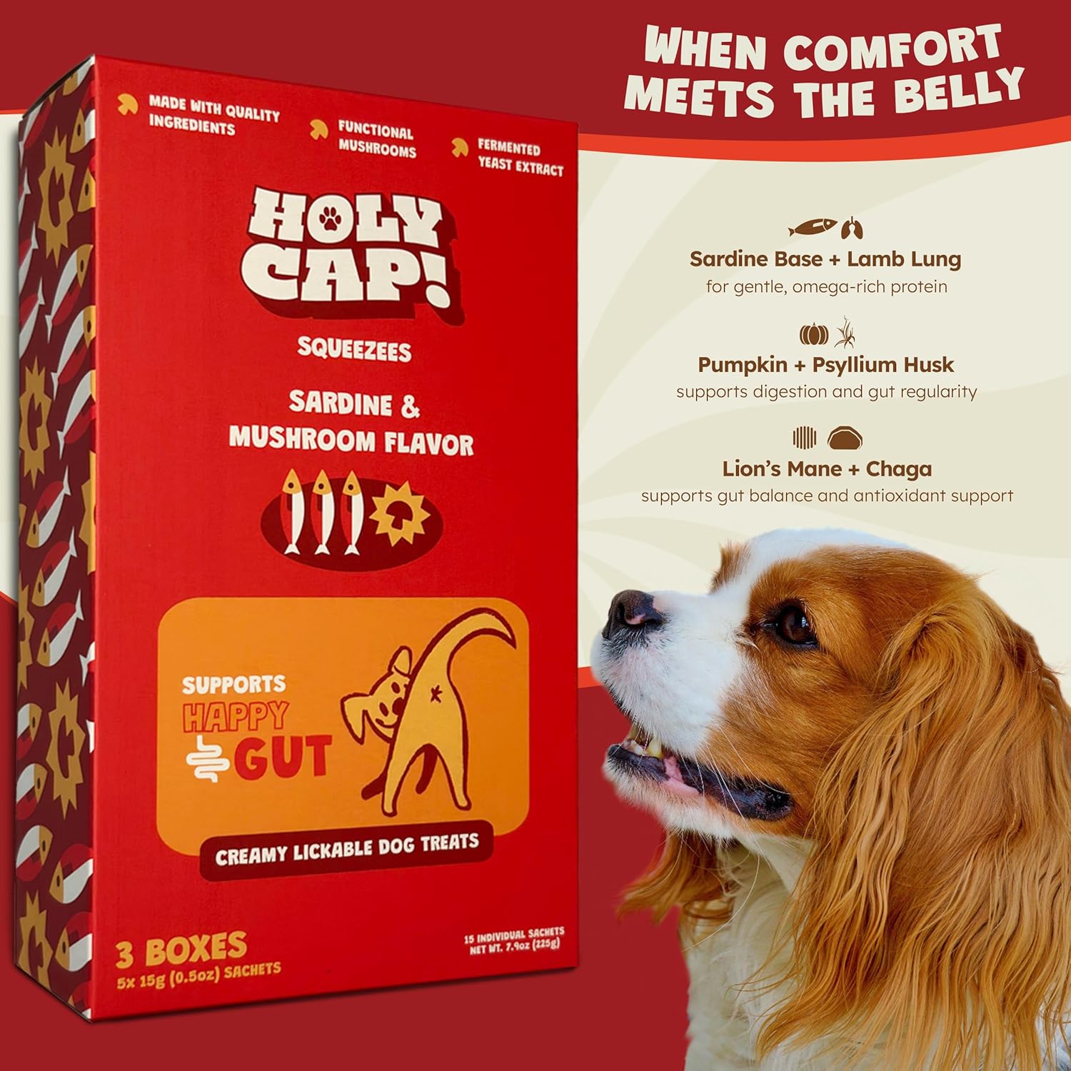 Happy Gut Grain-Free Lickable Dog Treats, 15 Squeezable Purée Tubes (0.5 oz Each), Sardine & Pumpkin Flavor, Creamy Dog Purée with Clean Ingredients, Hand-Fed Treat or Meal Topper
