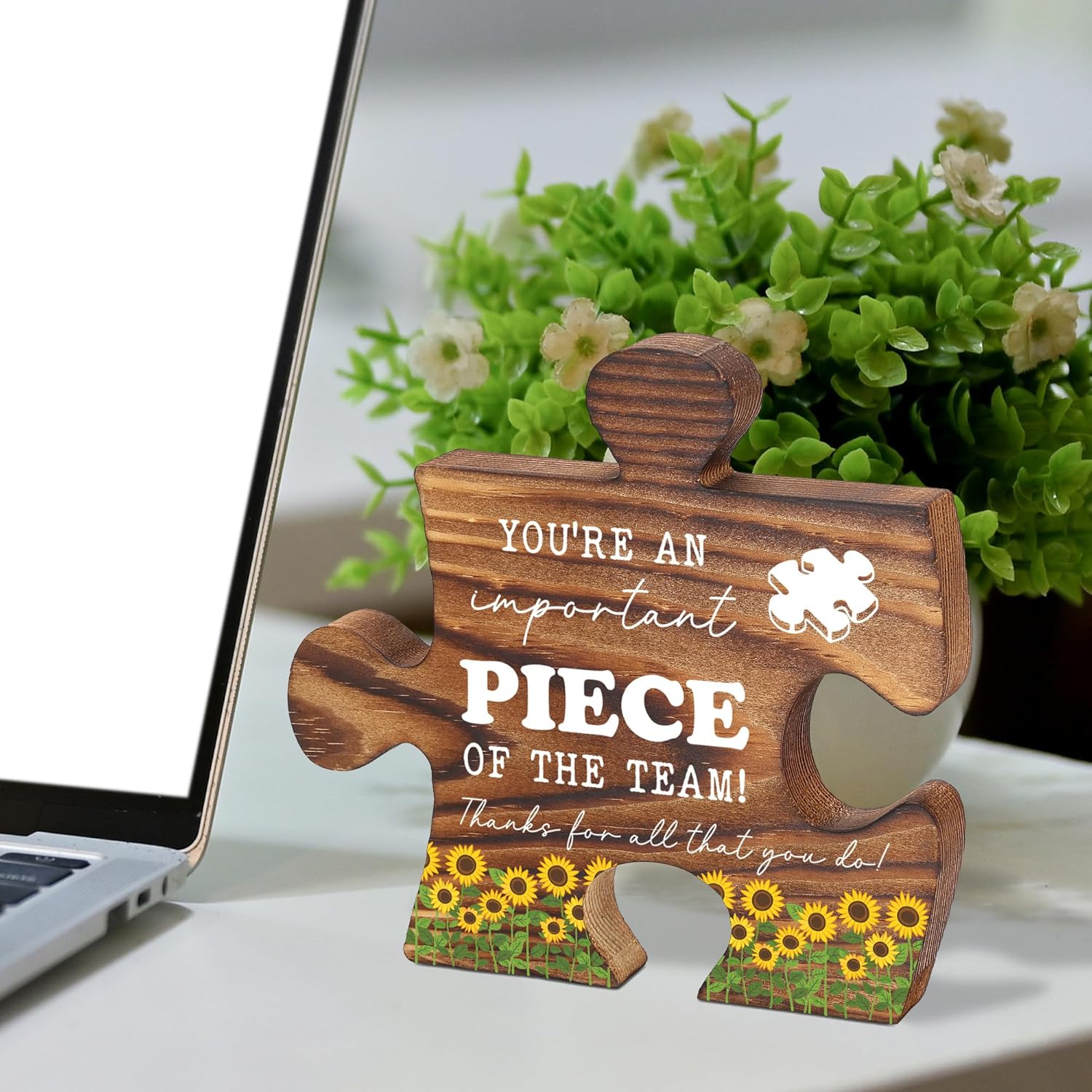 You're an Important Piece of the Team Puzzle Sign, Team Appreciation Gift for Coworker Employee Volunteer, Motivational Office Desk Decor for Women Men, Thank You Gift for Workplace - FSE384 - Image 3