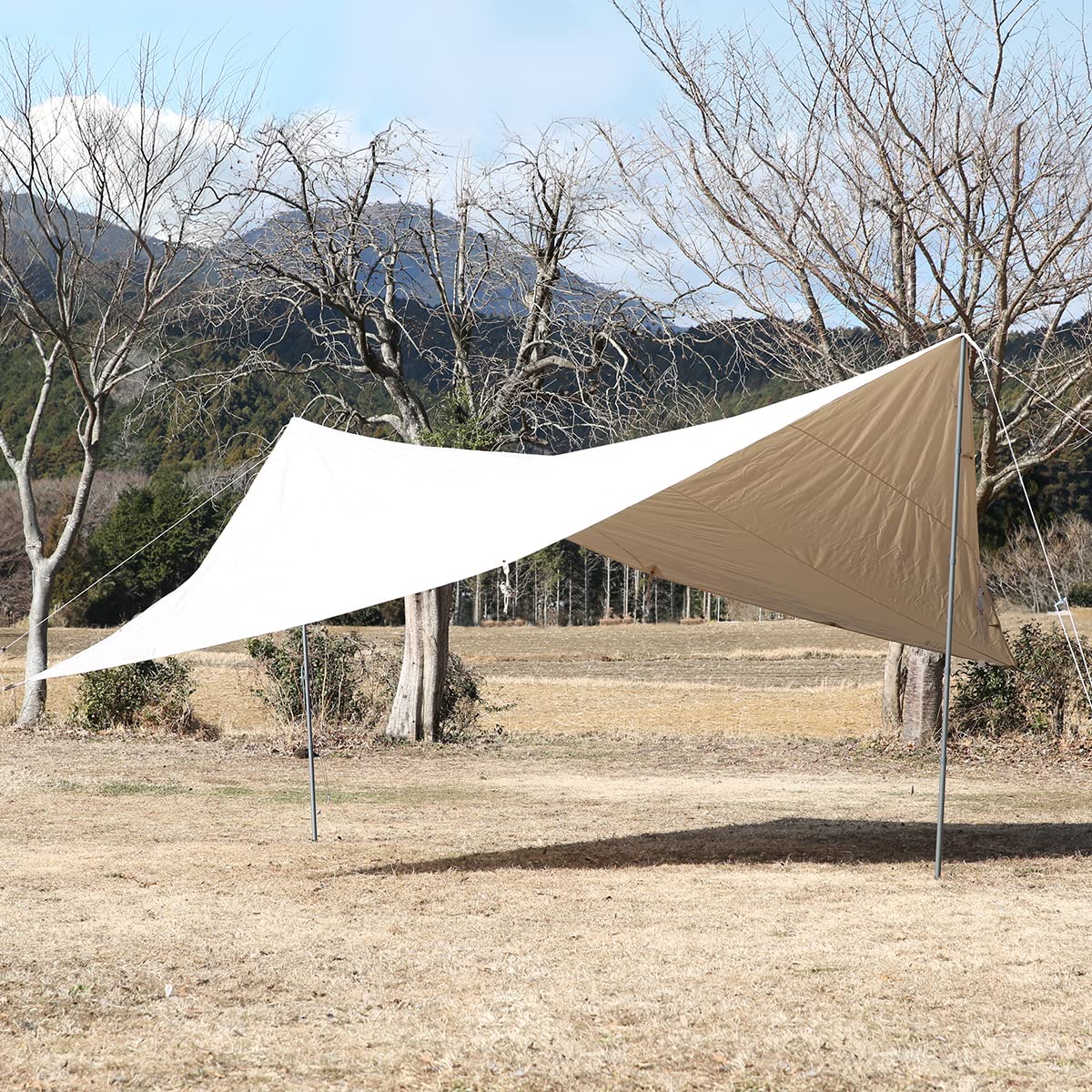 Amazon | [ノルディスク] Nordisk Kari Diamond 20 カリ ダイヤモンド 