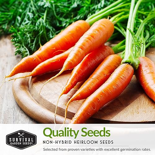 Miniatura 5 de Survival Garden Seeds Carrots Collection - Semillas de jardín de supervivencia sin OMG para plantar, variedades de zanahoria escarlata, imperador,
