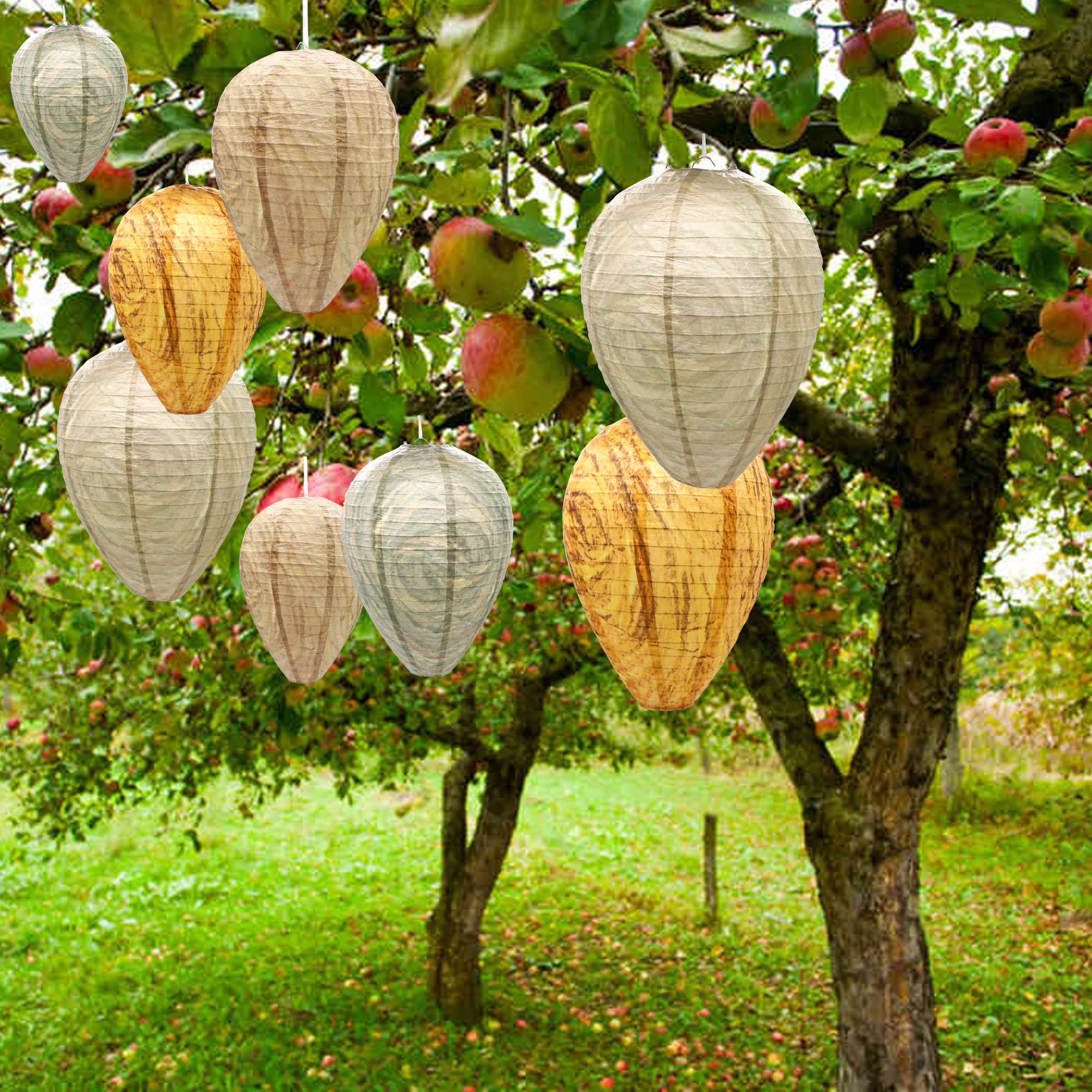 Amazon | スズメバチの巣 シミュレーションライトネスティング