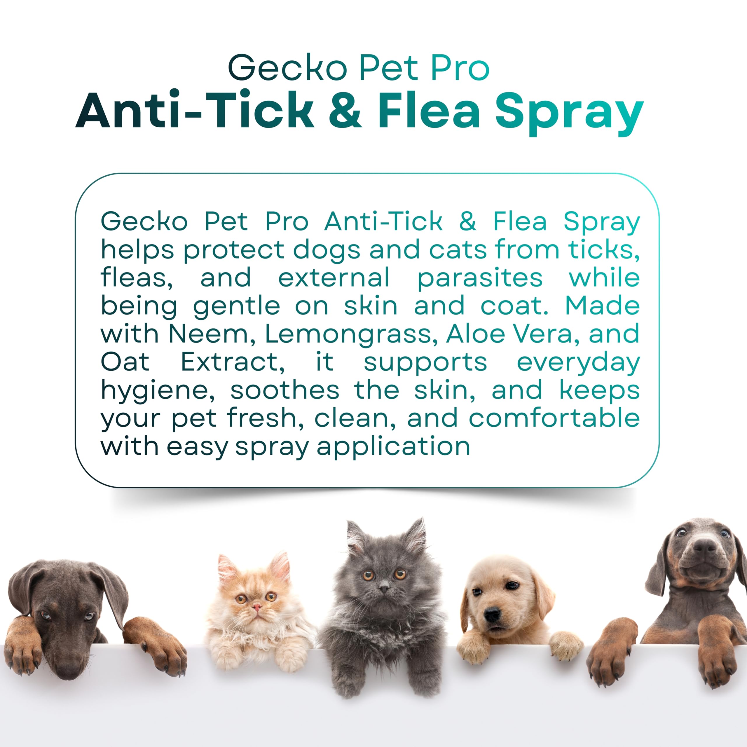 Gecko Pet Pro Anti Tick & Flea Care Spray for Dogs & Cats | 2× Concentrated External Parasite Care | Coat Hygiene & Grooming Support | Lemongrass & Citronella Oil | 200 ml (Pack of 1) 3