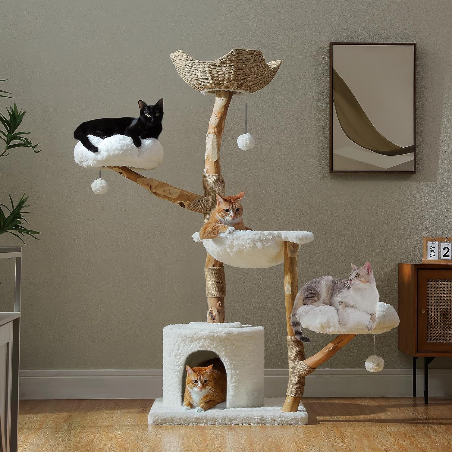 PAWZ Road Cat Tree for Indoor Cats Large Adults, 59 Inches Modern Cat Tower with Large Basket and Hammock, Natural Solid Wood, Luxury Condo & Dual Perches, Modern Cat Furniture for Big Cats, White