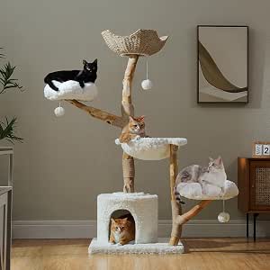 PAWZ Road Large Indoor Cat Tree - 59 Inches Modern Wooden Tower with Basket, Hammock, Perches, for Big Cats