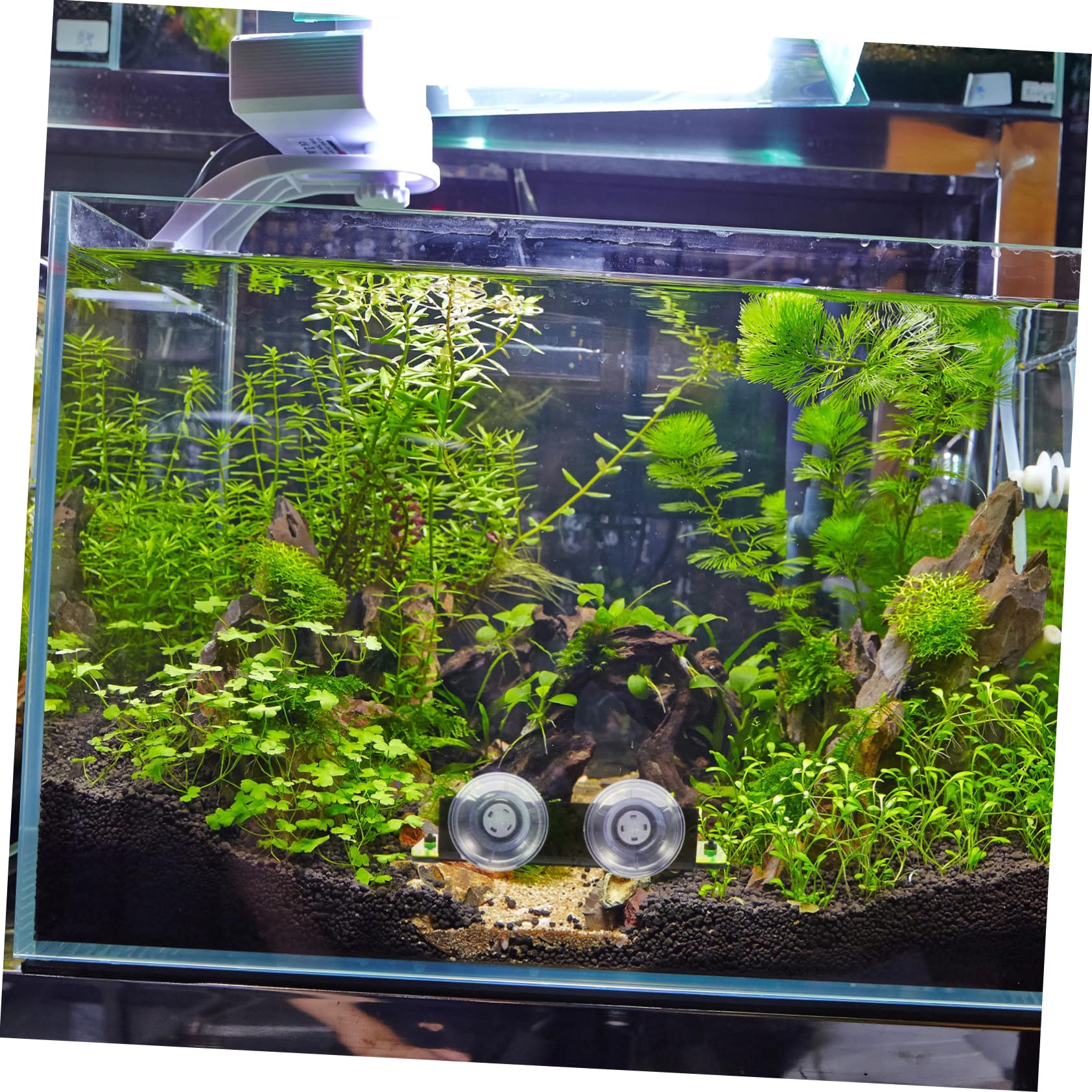3 Stücke Acryl Korallen Basen Große Züchter Box Für Aquarium Riff Sicher Korallen Riff Basen