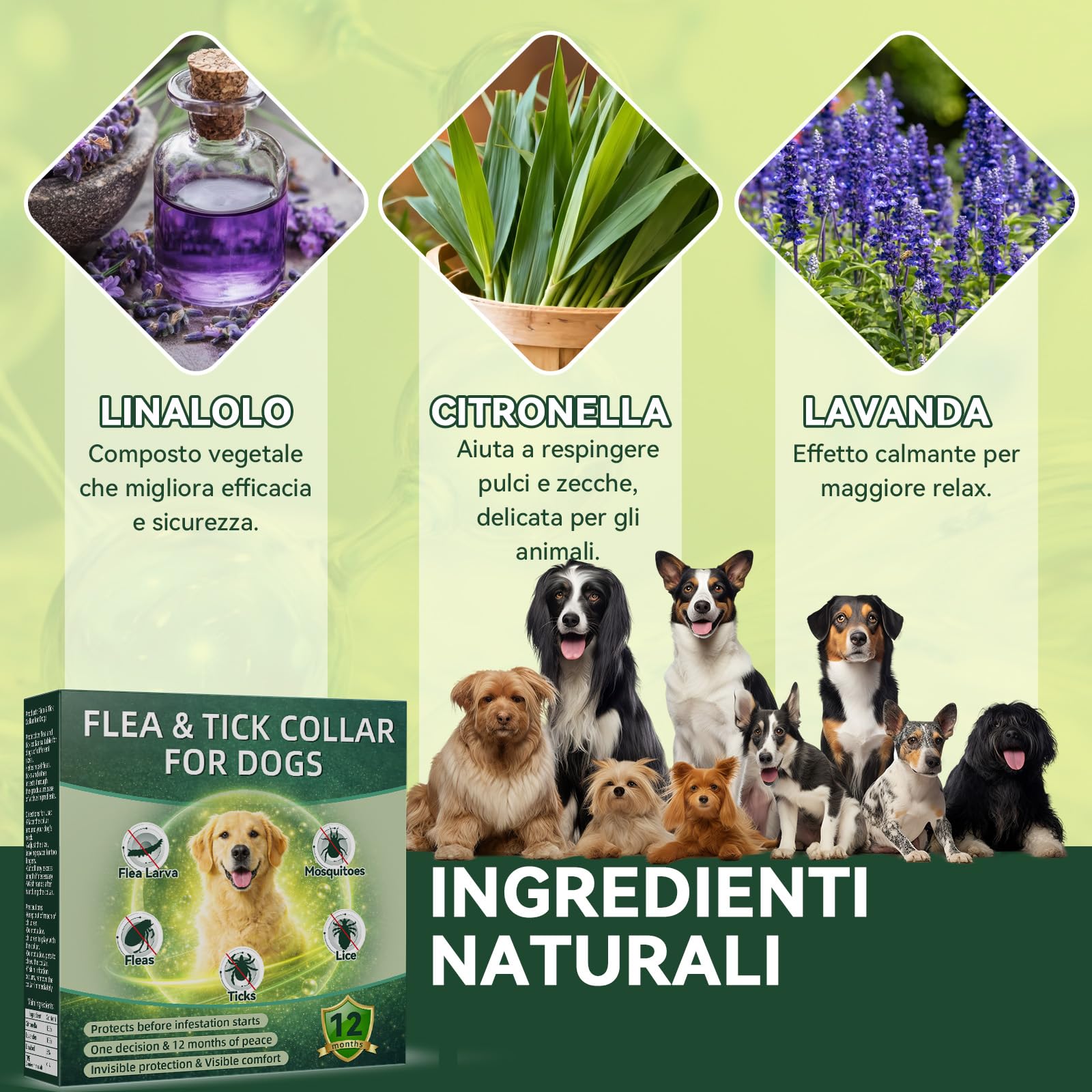 Collare Antiparassitario per Cani, Collare Antipulci Cane, Protezione Efficace, Naturale, Impermeabile, Regolabile, Collari Antiparassitari per Cani per Piccoli, Medi e Grandi a Tutte le Razze,65cm