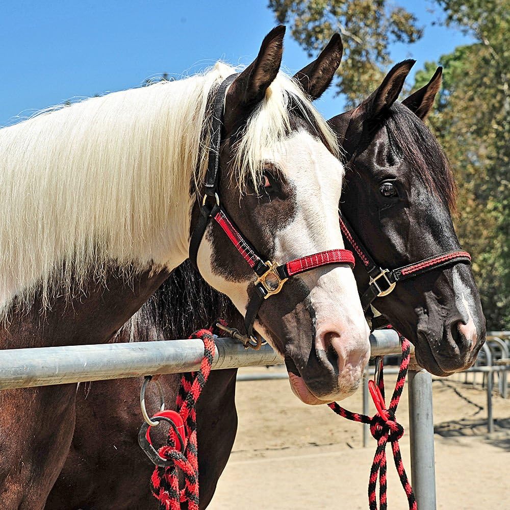 Safety Tie Injuries Preventing Horse Tether Tie Portable & Reusable
