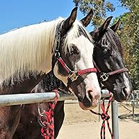 Vista 2 de Corbata de amarre para evitar lesiones, portátil, versátil y reutilizable, liberación rápida bajo alta presión con 5 ajustes de bucle, clip Negro