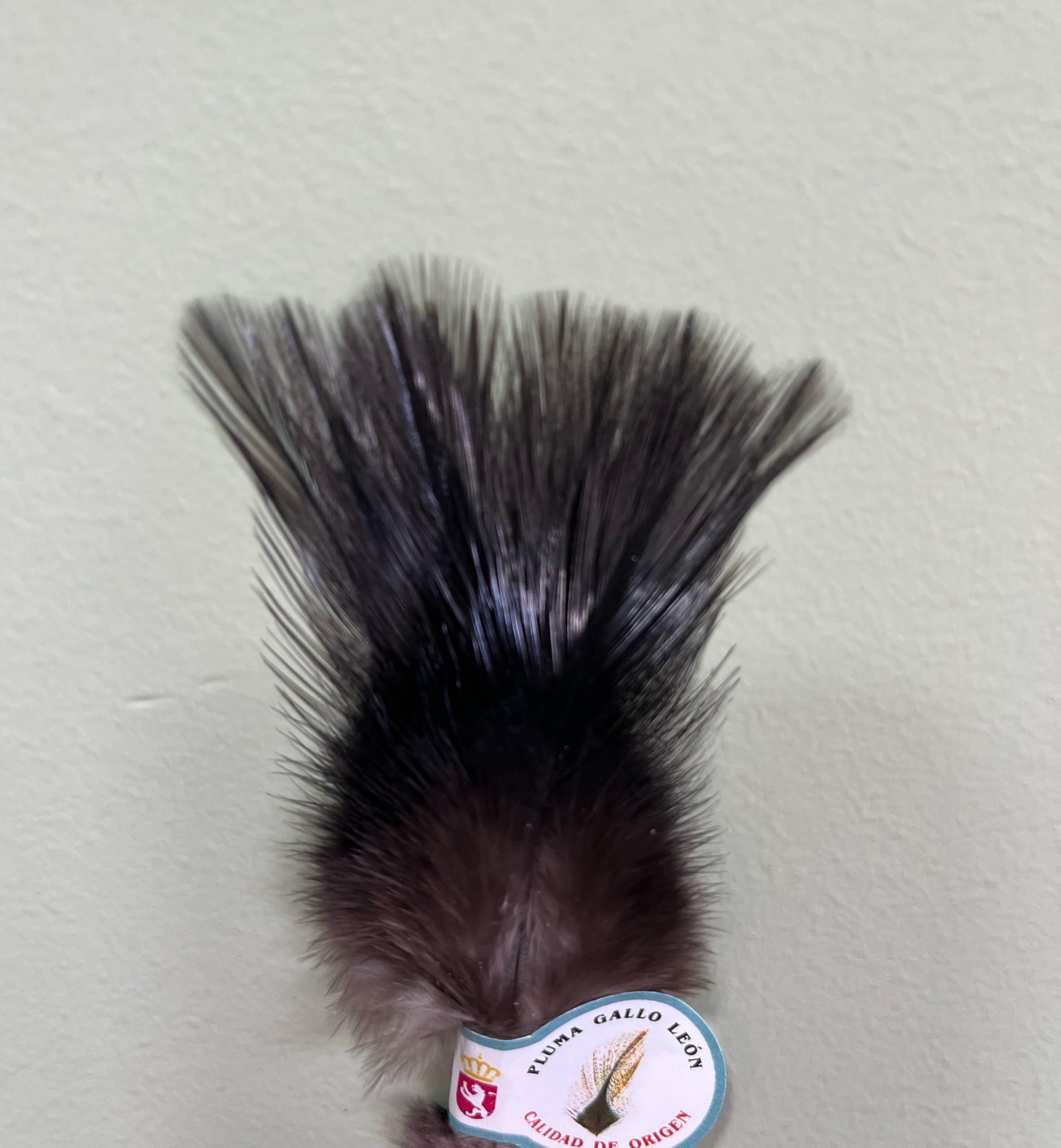 Pluma Gallo DE Leon/Lion Rooster FEATER para EL Atado DE Moscas,NINFAS Y PERDIGONES para LA Pesca A Mosca