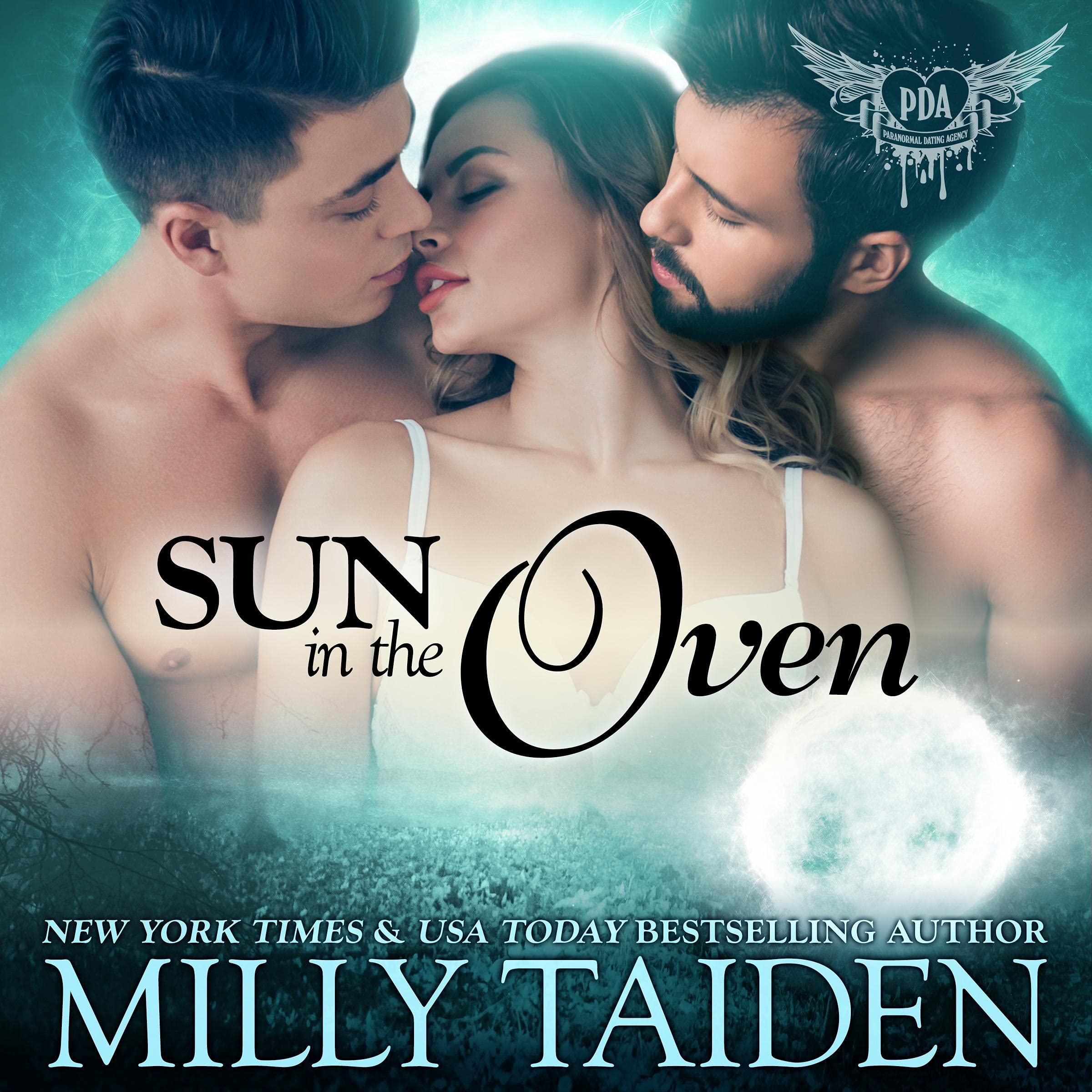 Cover art for Sun in the Oven