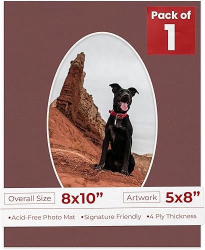 Alfombrilla de 8 x 10 pulgadas con corte biselado para fotos de 5 x 8 pulgadas, diseño ovalado de color granate, sin ácidos, mate para proteger tus