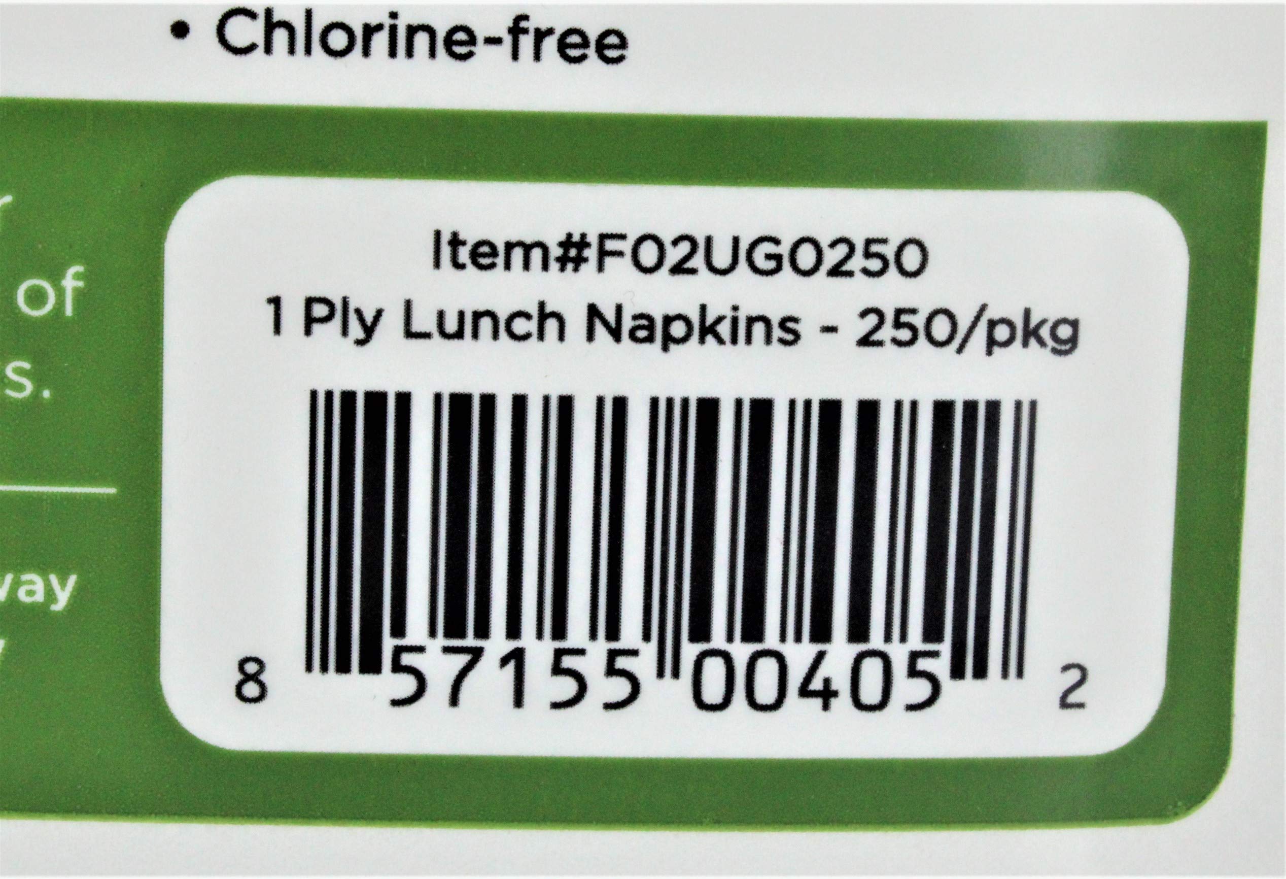 Produkty papierowe 1-warstwowe serwetki obiadowe 250 sztuk wykonane z trzciny cukrowej (250 serwetek)