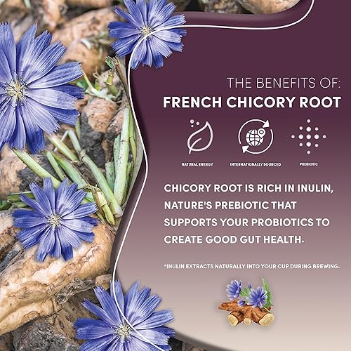 Vista 78 de Teeccino Java Chicory Coffee Alternative – Café de hierbas molido que es prebiótico, sin cafeína y sin ácidos, tostado medio, 11 onzas (paquete de 3)