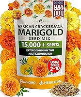 Vista 71 de HOME GROWN Semillas de eneldo sin OMG para plantar 1,014 ramos de semillas de eneldo y semillas de hierbas tradicionales para plantar al aire libre