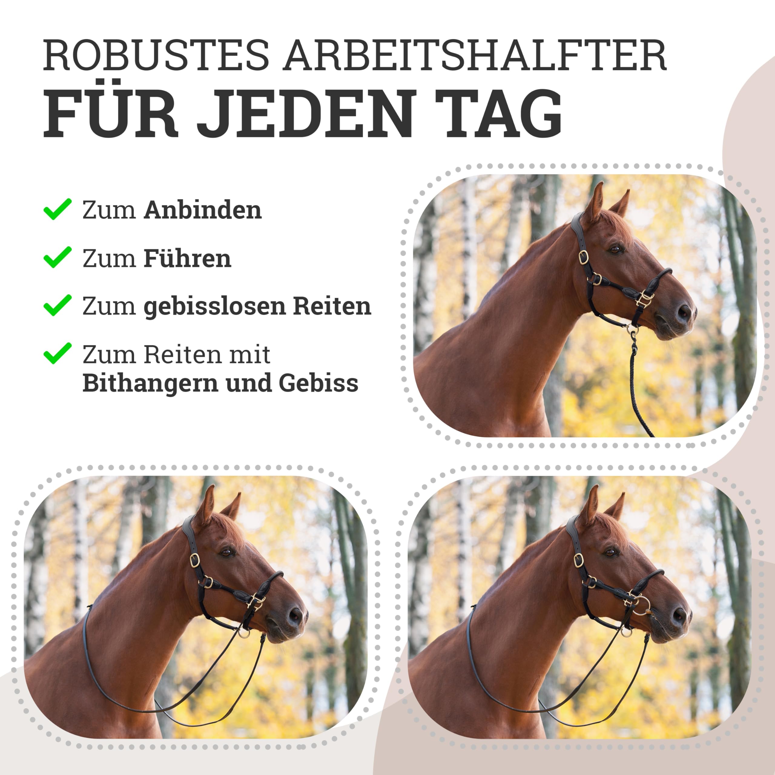 Esposita Seilhalfter Ranch Halfter für Pferde aus Leder und Seil mit rostfreien Messingbeschlägen auch ideales Halfter zum Reiten, als gebisslose Trense oder Wanderreithalfter Schwarz Gr. Full/WB