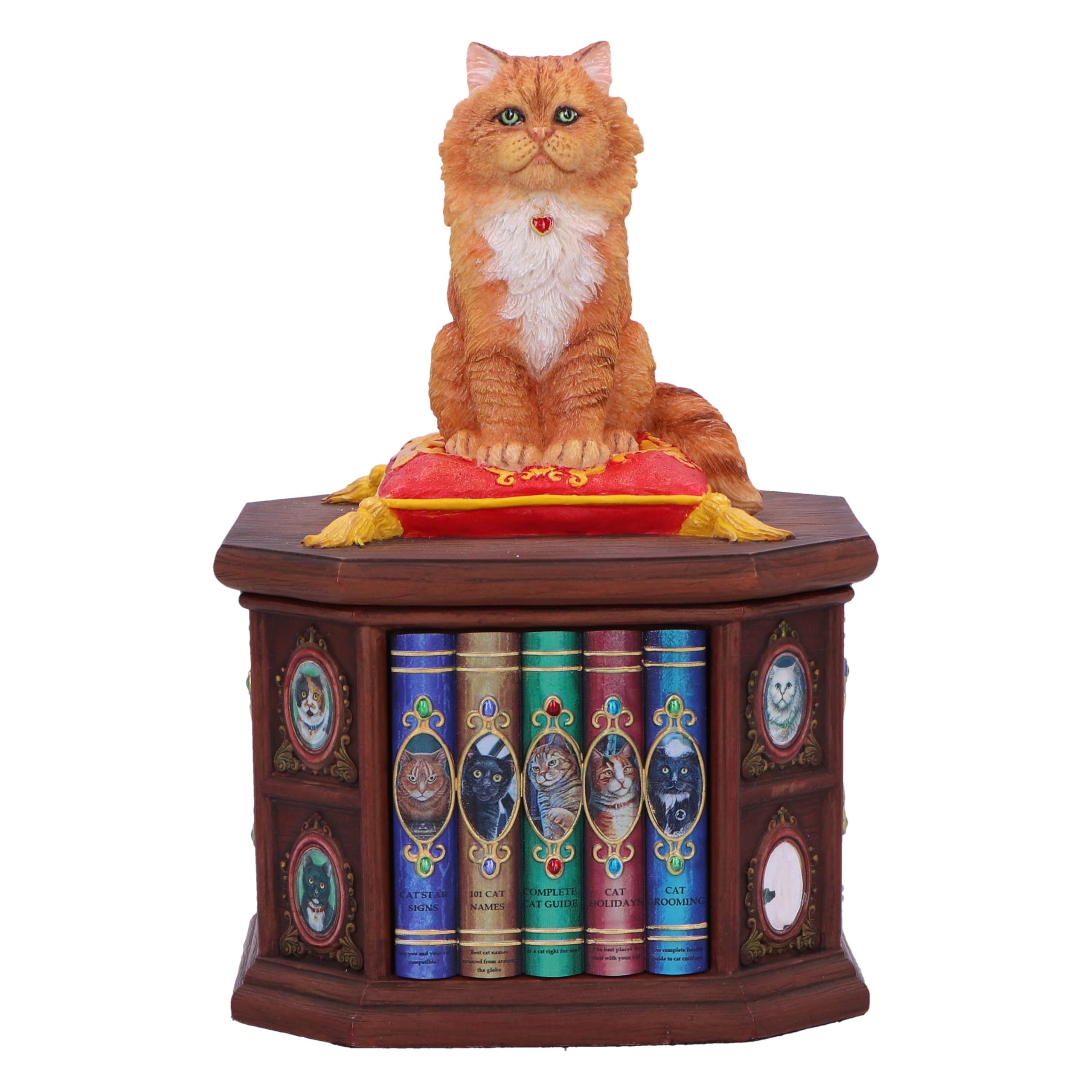 Nemesis Now Mad About Cats boîte décorative par Lisa Parker