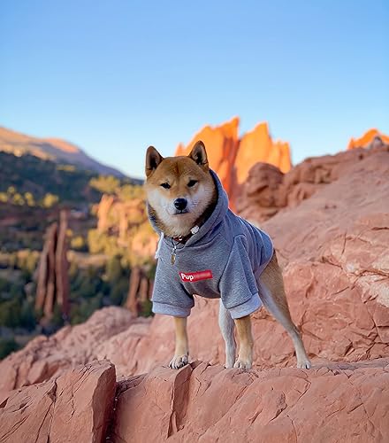 Miniatura 4 de ChoChoCho Sudadera con capucha para perro, ropa para mascotas, sudaderas con capucha para gatos, elegante ropa urbana azul, traje de perro para