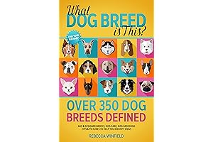 Ultimate Dog Breed Identification Guide: Discover Over 350 Breeds with Photos