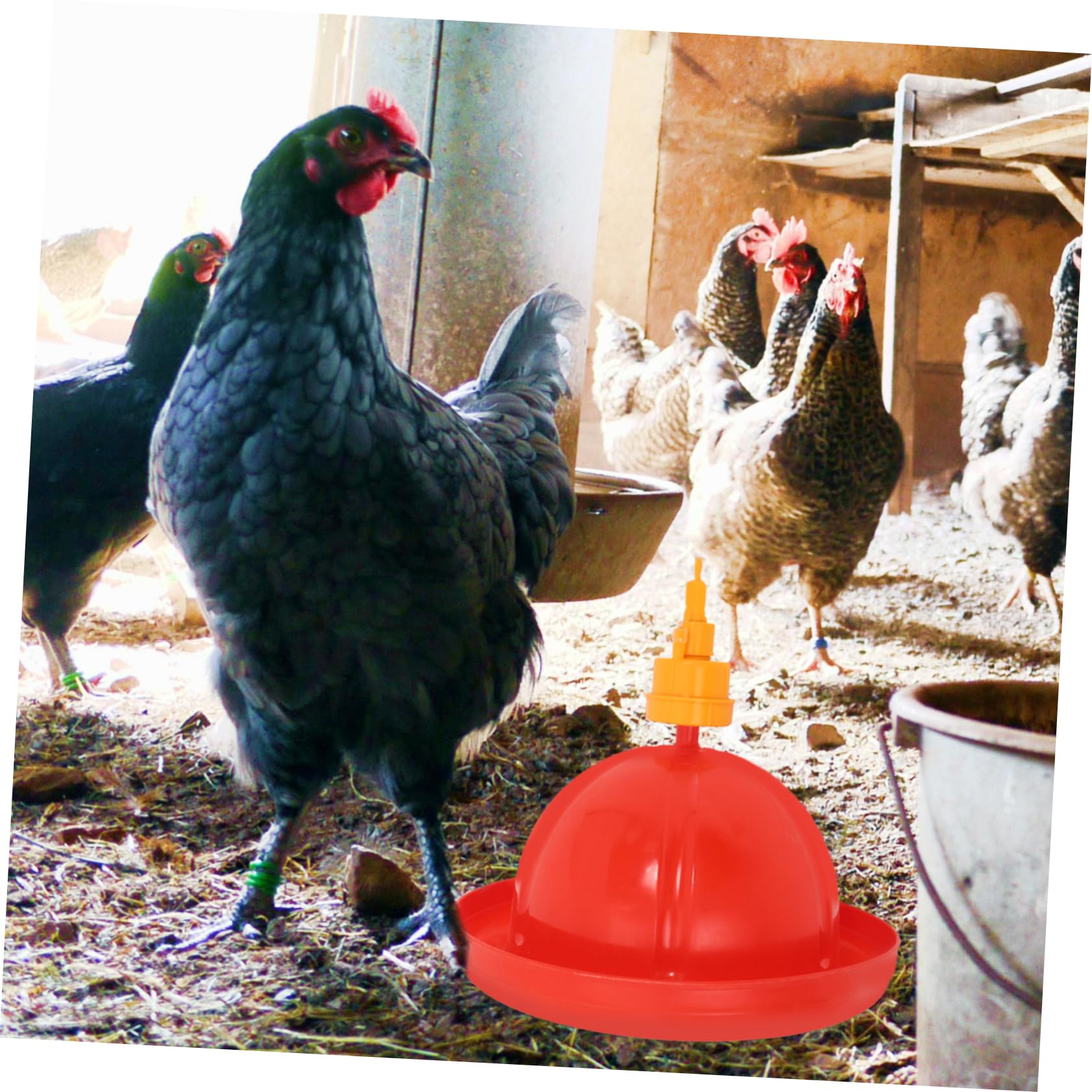 TOYANDONA Kit Automático de Bebederos y Comederos para Pollos y Gansos Agua Contenedor de Integrado y Fácil Instalación para Avicultura