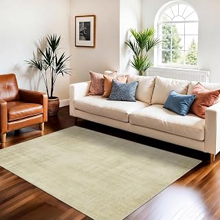 Joydeco 3x5 Area Rugs for Living Room Classic, Beige