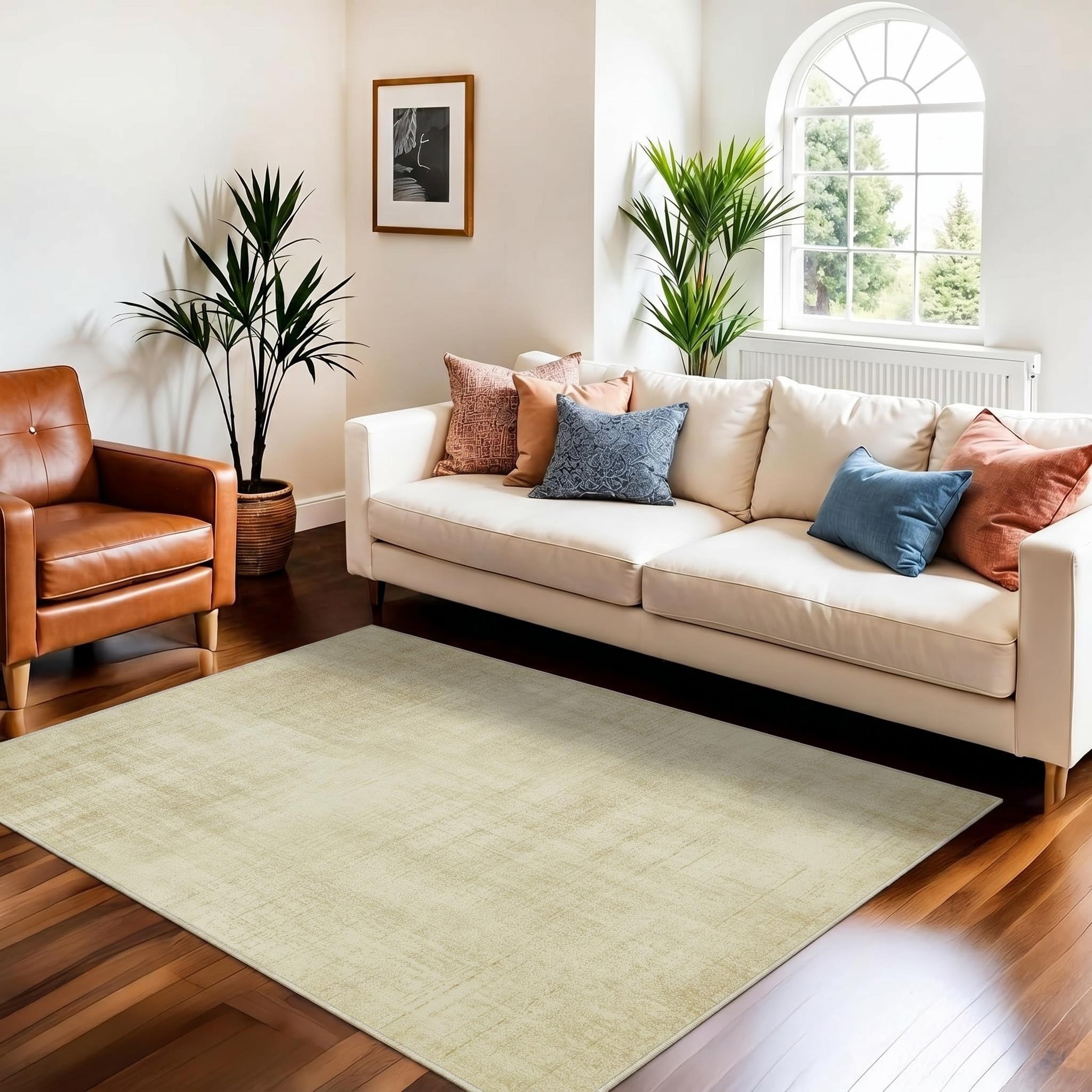 Tapis beige lavable anti-tache et antidérapant pour maison avec animaux