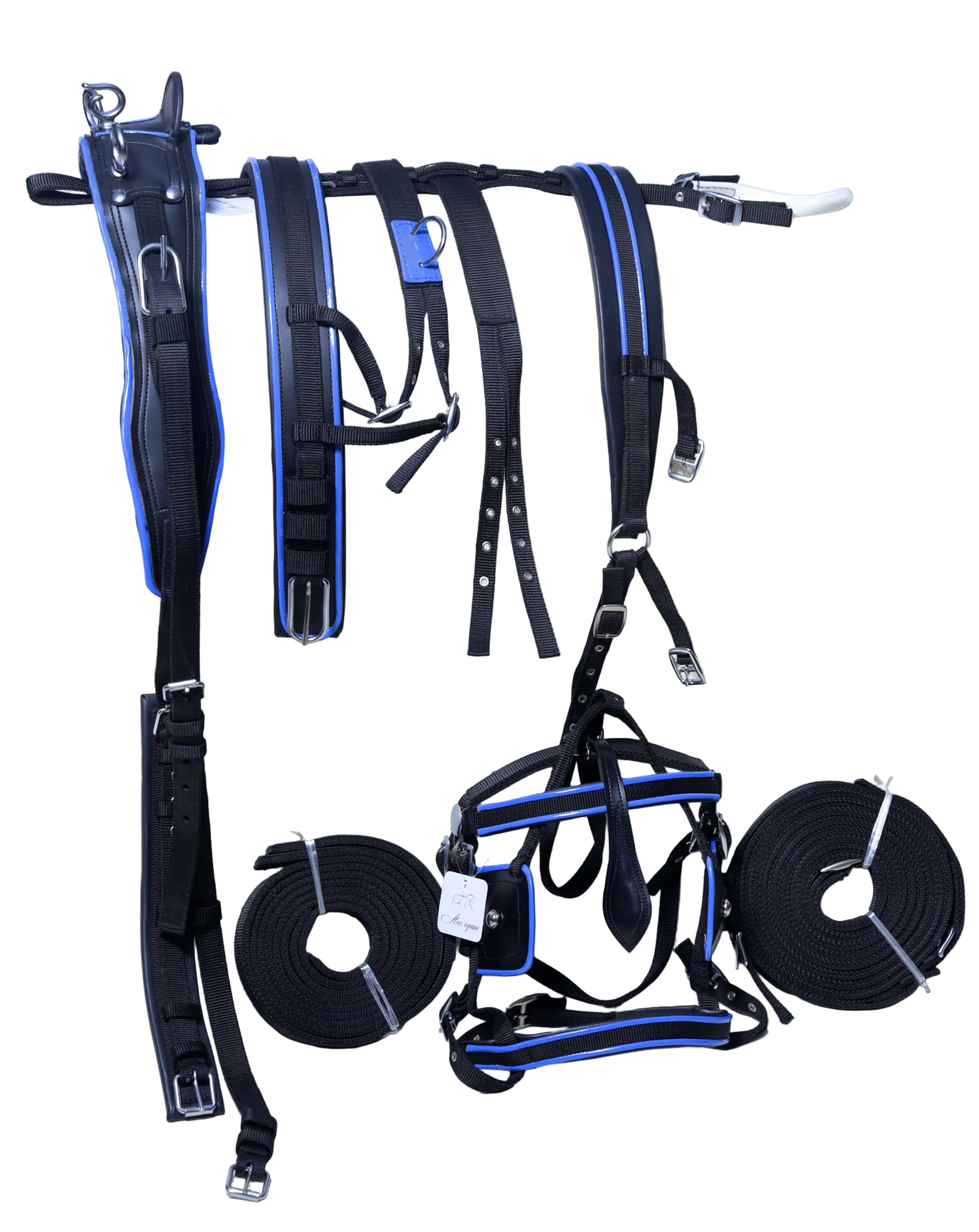 Harnais de conduite en nylon pour chariot de cheval Noir/bleu (Mini Shetland)