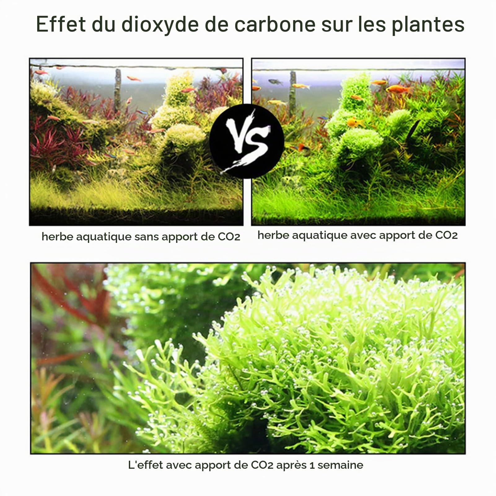 Kit de générateur de CO2 pour Aquarium DIY Système de générateur de CO2 avec électrovanne pour Compteur de Bulles et contrôle de dioxyde de Carbone Kit de réacteurs pour Plantes Aquarium