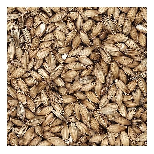 Vista 5 de Home Brew Ohio Grano Ale 5lb