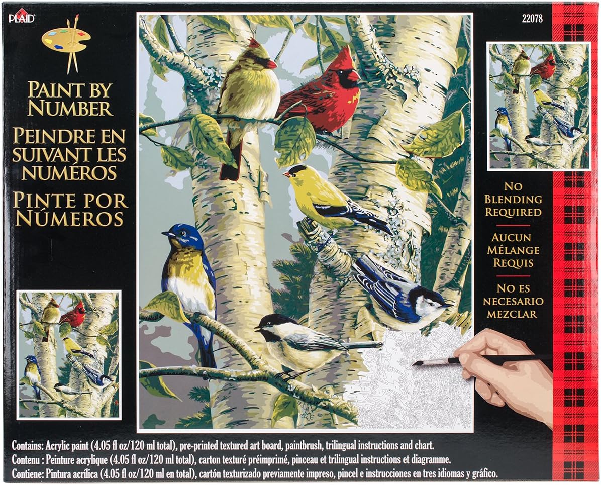 Plaid Creates Paint by Number Kit (16 by 20-Inch), Song Birds