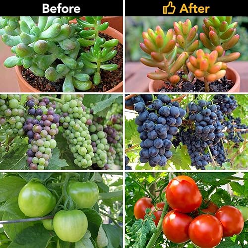 Miniatura 7 de iPower Luz LED de cultivo con cuello de cisne ajustable, encendido/apagado automático, temporizador de 3/9/12H, lámpara de espectro rojo y azul, 11