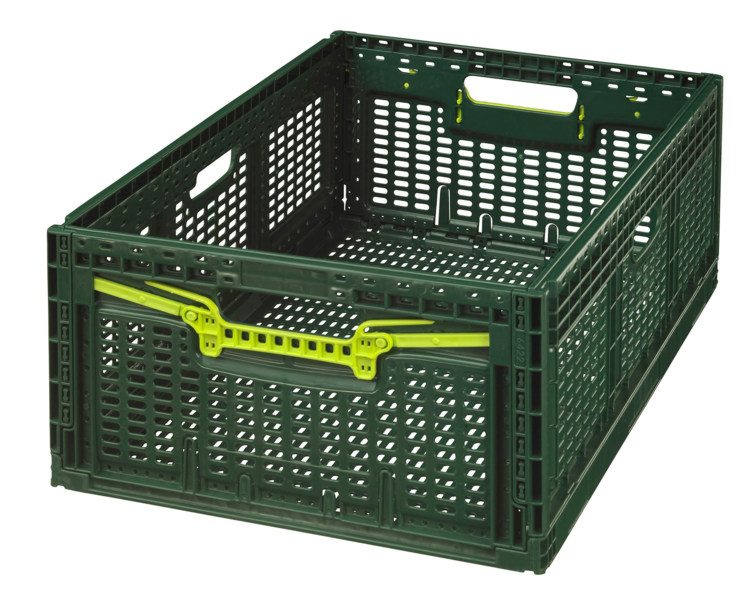 Logiplast 10 x Stabile Klappbox aus Kunststoff 60x40x21,9 cm Gemüsekiste Faltbox