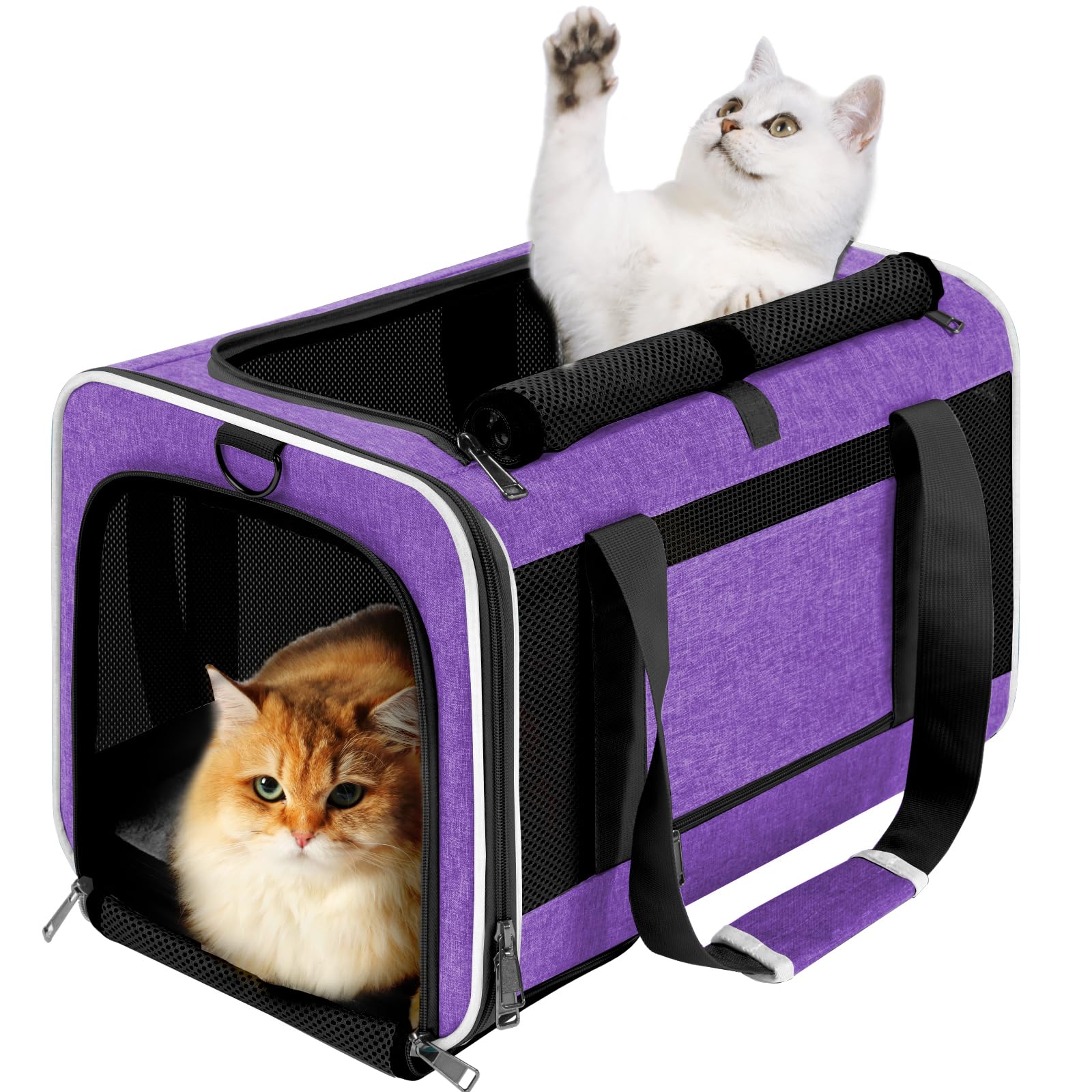 GAPZER Pet Carrier for Large Cat 20 lbs+ / Soft Sided Small Dog 12 Pounds Travel Crate Top Load/Collapsible Kitty Carry Bag Big Kitten Mesh/Sturdy Animal Transport cage Kennel Long Trips Purple