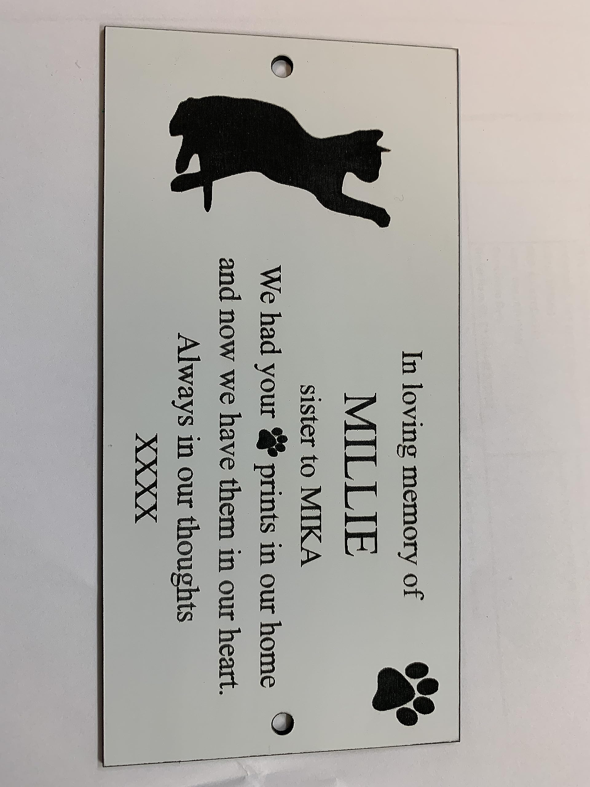 Gold Personalised Engraved Memorial Cat Pet Plaque Sign Diy Home (Gold)