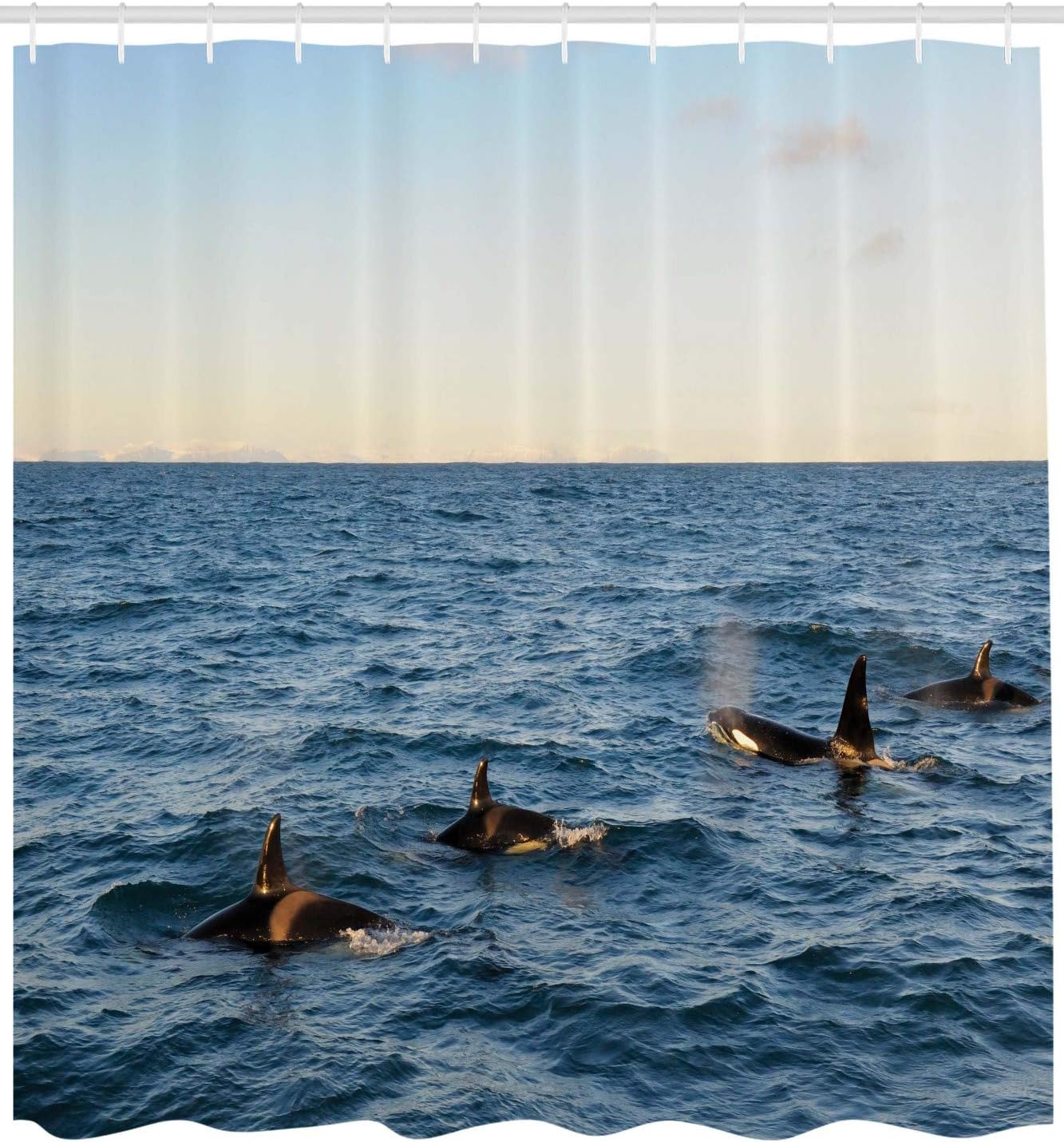 Ambesonne Whale Shower Curtain, Real Photo Image of 4 Killer Whales Coming Out of The Seartwork Print, Cloth Fabric Bathroom Decor Set with Hooks, 69" W x 84" L, Black Blue
