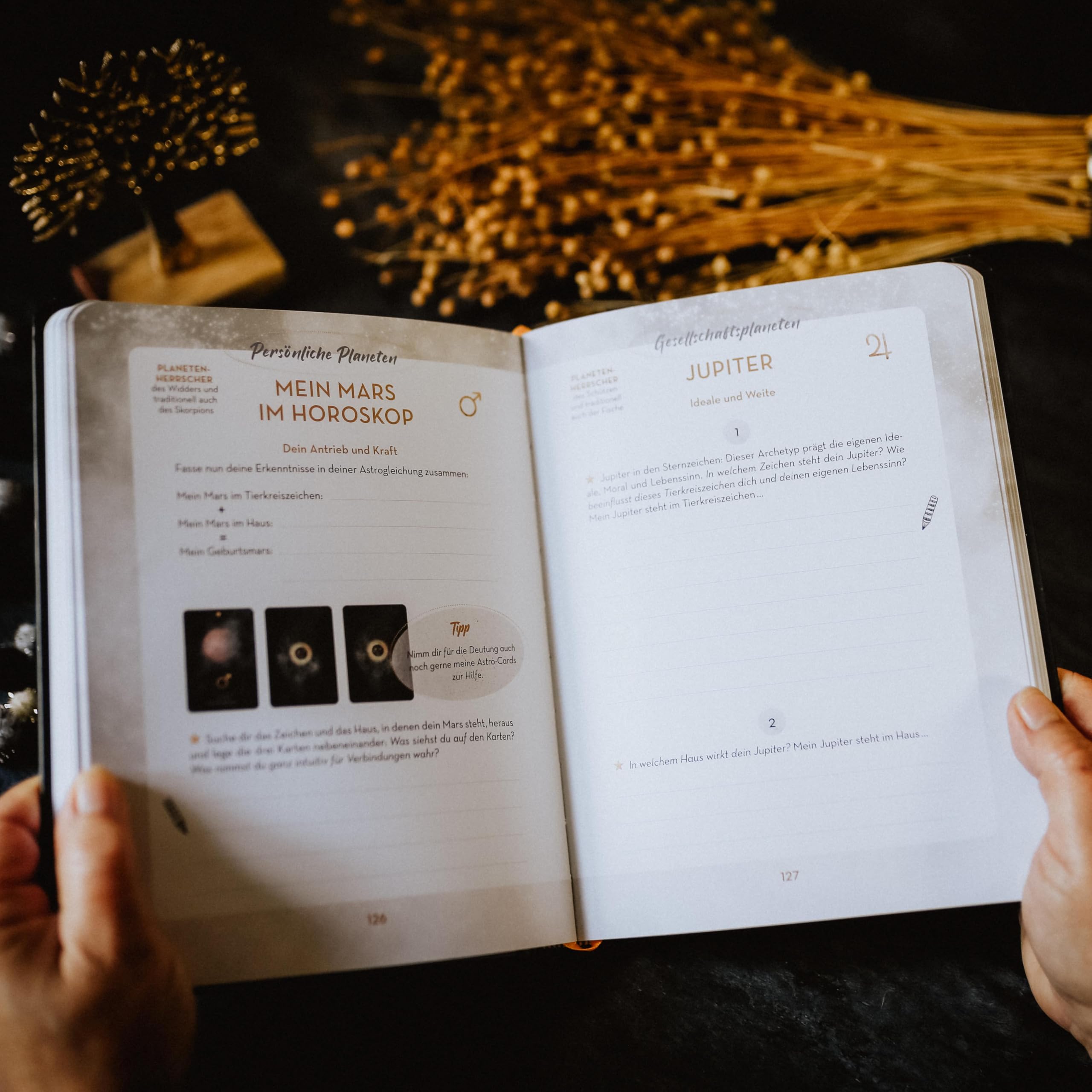 Astro-Cards - Luxury Edition: großformatige Box mit Goldprägung, 43 Karten mit Goldprägung und Goldschnitt, Samtbeutel mit Zugband, ein Legetuch und mit Workbook: Samtbeutel, Legetuch, Workbook,