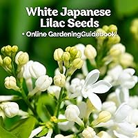 Vista 2 de 25 semillas de jlila aponés (extremadamente fragante)/Color Blanco