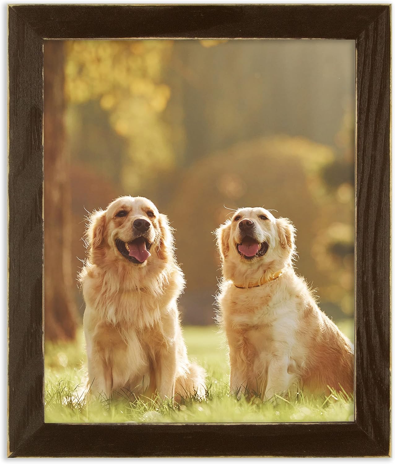 The Rusty Roof - Distressed Emily Espresso - Solid Wood Picture Frame - 11x14