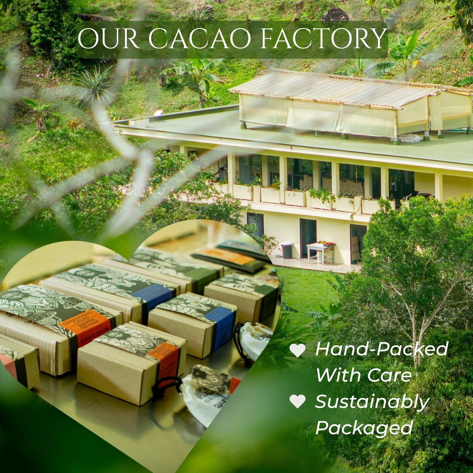 Origen Ceremonial Cacao en Polvo